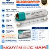 Bóng Ushio FDF 500W 120V – Nguyễn Đức Nam 0917 122 525